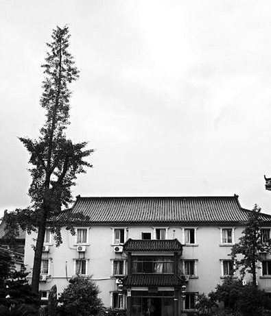 丰镇市人口数_丰镇市教育局招生办(2)