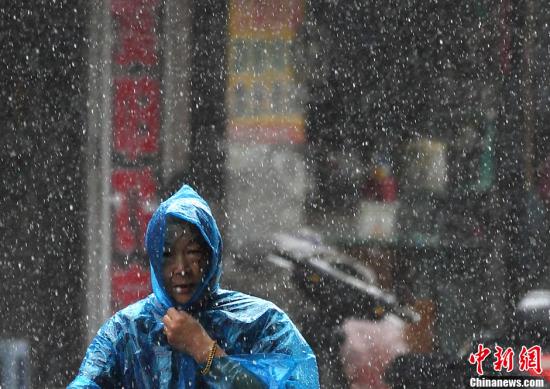8月8日，受今年第11号台风“海葵”登陆浙江沿海地区的影响，江苏南部地区迎来大风大雨天气，给当地的民众出行造成不小的影响。图为市民在暴雨如注的南京街头经过。中新社发 泱波 摄