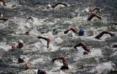 奥运图：突尼斯游泳马拉松夺冠 选手在比赛中