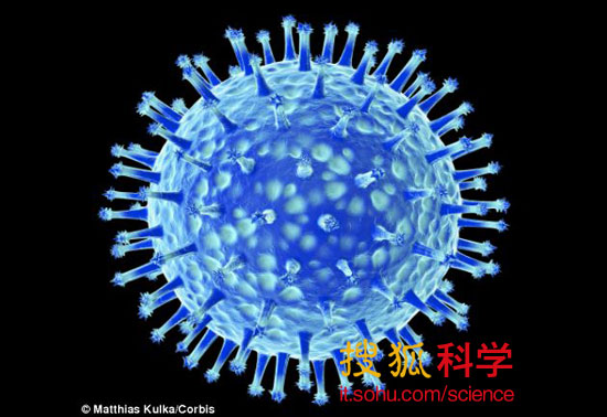 生物工程师认为他们可以使用M13噬菌体作为新型手机电池