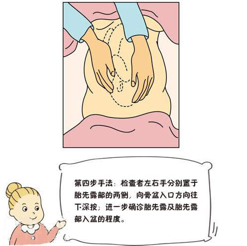 如何学会抚摸胎宝宝的位置