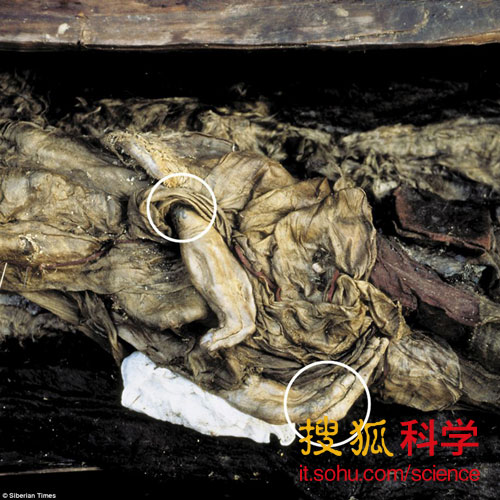 神秘千年女尸"乌卡克公主"有精美纹身(高清)(组图)