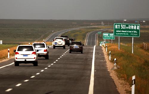8月16日,高速行驶的车辆即将经过动物通道.新华社记者 王博 摄