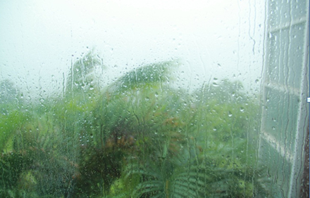 台风启德登陆湛江 狂风暴雨袭击粤西