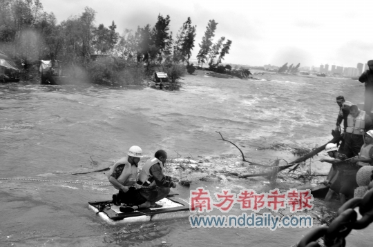 台风启德湛江登陆风力13级 数百树木被吹倒