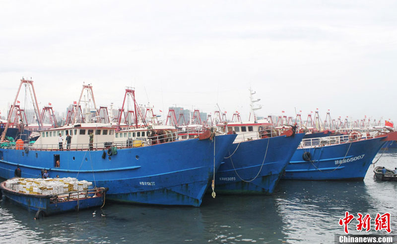 2012年8月17日,一艘来自海南的渔船在广西最大的渔港北海侨港将渔获卸