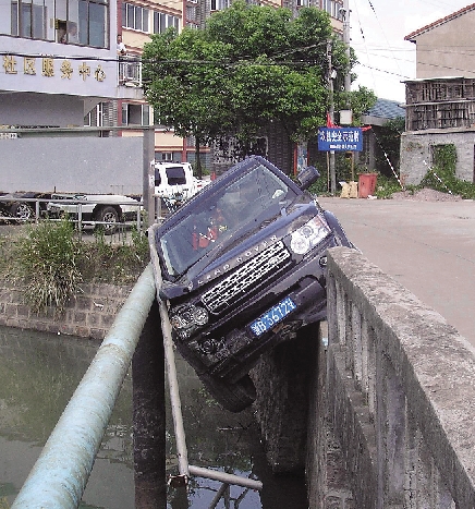 小狗上街闯祸不少 狭路相逢路虎避让开出桥面一大半(图)