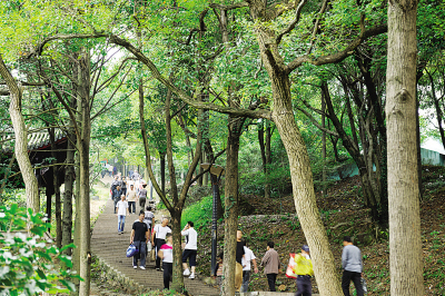 万松山热闹兮