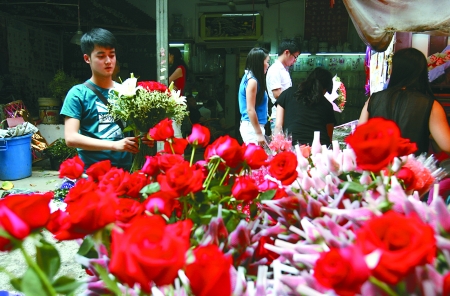 昨日,杨家坪花鸟市场,市民正在挑选玫瑰花. 记者 张永波 摄