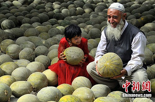 新疆喀什地区莎车县的米夏乡,有瓜农把甜瓜密集地摆在一起,如甜瓜铺成