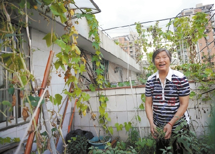杭州农贸市场蔬菜普遍涨价1到2元 71岁奶奶阳