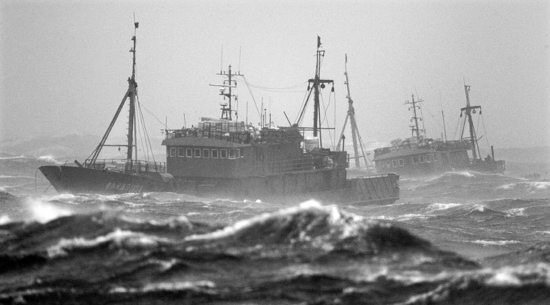 33中国渔民济州岛遇险 遇台风两渔船一沉一搁