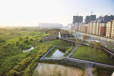 "绿色海绵"巧解城市雨涝难题(图)