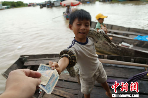 图为8月31日，舞弄一番蟒蛇后，一名小孩成功讨到了2000元当地货币，约合人民币3元左右。王刚 摄