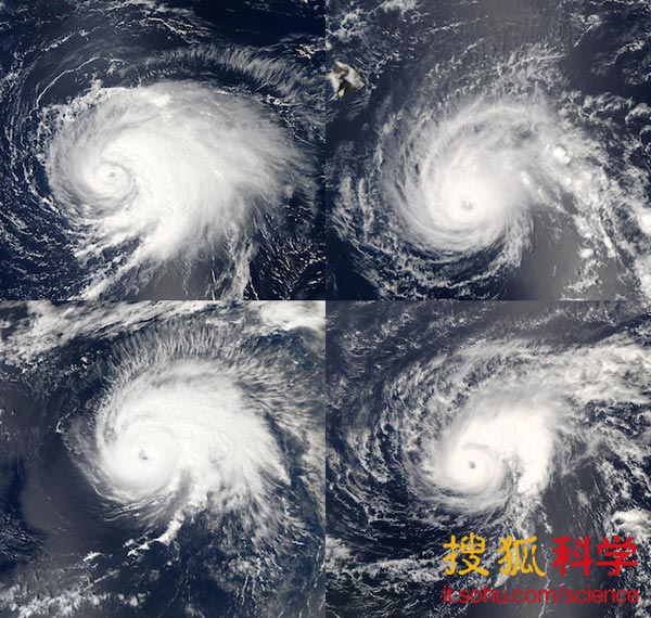科普:为什么几乎所有的台风看起来都非常相似