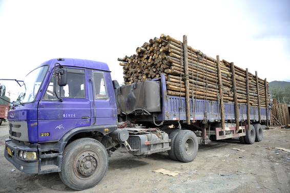 2016-2021年中国木材运输车市场前景展望分析及竞争格局预测研发报告