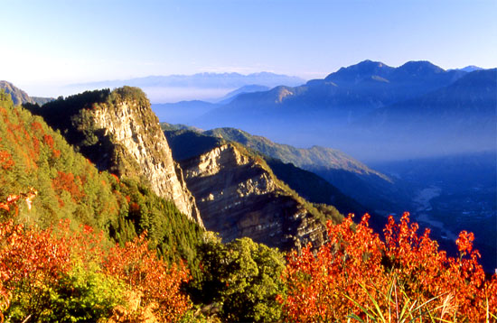 阿里山