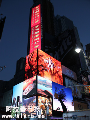 苍天圣地阿拉善组照在美国纽约时代广场大屏