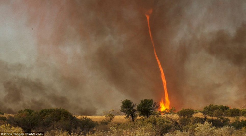澳大利亚出现罕见“火焰龙卷风”，高达近30米。