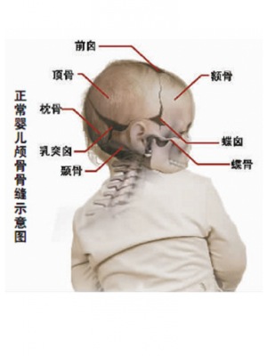 [转载] 什么样睡姿会长皱纹?