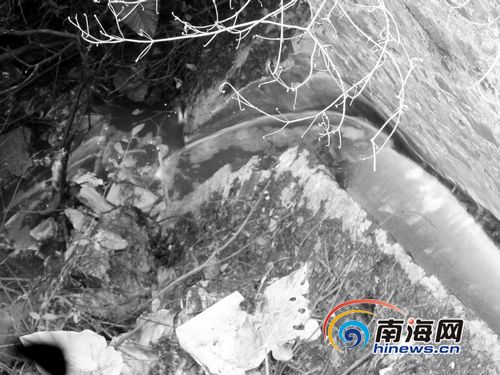 豆腐城称厂区有污水处理设施不会造成污染