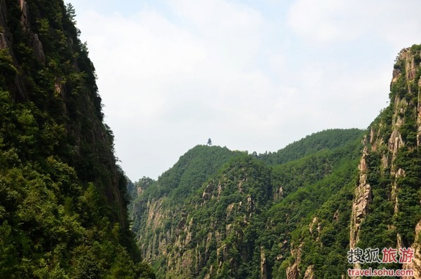 玉树临风,仙气飘飘