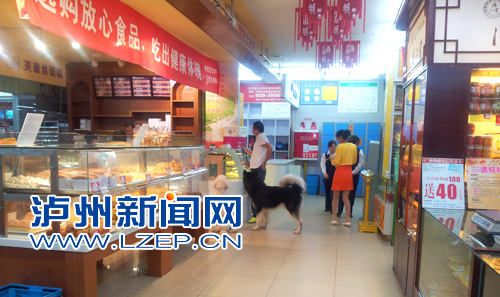 巨型犬排行_可猎杀狼的巨型犬种有它一席之地(2)