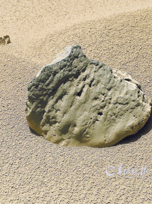 火星土壤类似夏威夷火山砂(图)
