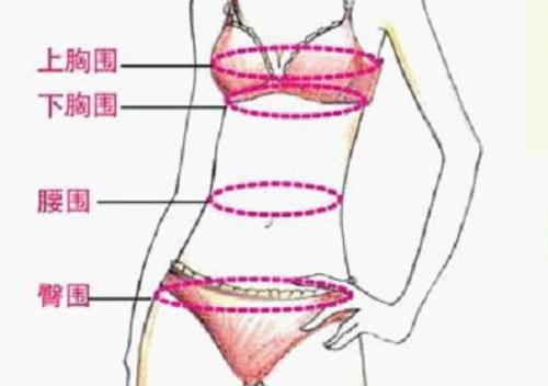 女人的内衣尺寸是怎么分的(组图)