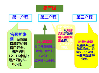 分娩过程详解