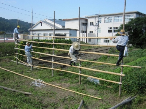 这竟是日本农村的房子 让人彻底傻眼了(组图)