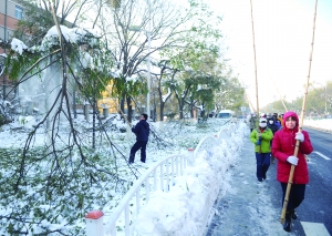 在延庆街头，市民拿竹竿打落树上的积雪。晨报记者 王巍/摄