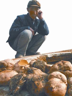 塔子峪村村民看着被泡的白薯不知如何是好。