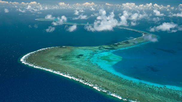 澳大利亚旅游局:大堡礁珊瑚层消失过半 人类是“杀手”(1)_业界资讯_光明网(组图)-搜狐滚动