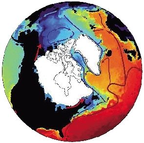 最新研究显示 大量冰盖融水涌入海洋 阻断暖流运动 导致气温下降