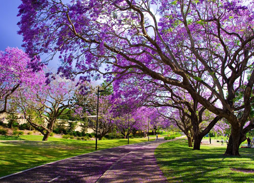 布里斯本被称为阳光之城，是昆士兰州最大城市，也是澳洲第三大城市，人口100多万。布里斯本全年气候温暖，景色如春，是旅游观光的最佳城市。