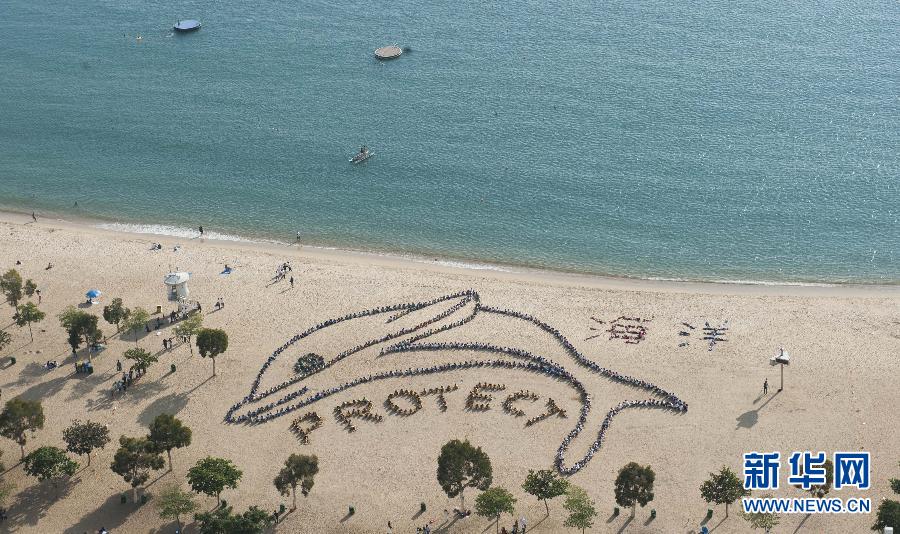800名香港学生海滩拼出保护海洋字样(高清组