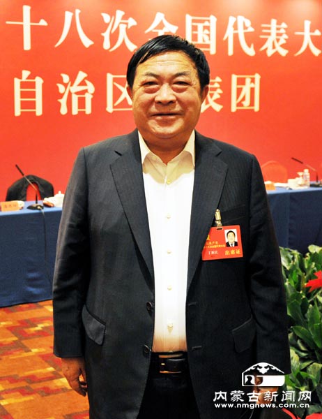 丁新民代表:努力创建中国特色社会主义
