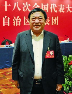 丁新民代表:努力创建中国特色社会主义