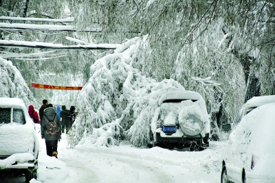 东北三省内蒙中东部遭遇雪灾(图)-搜狐滚动