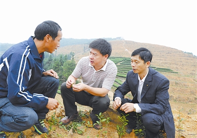 林亦壽 （ 中 ） 與茶農議論茶葉種植技術