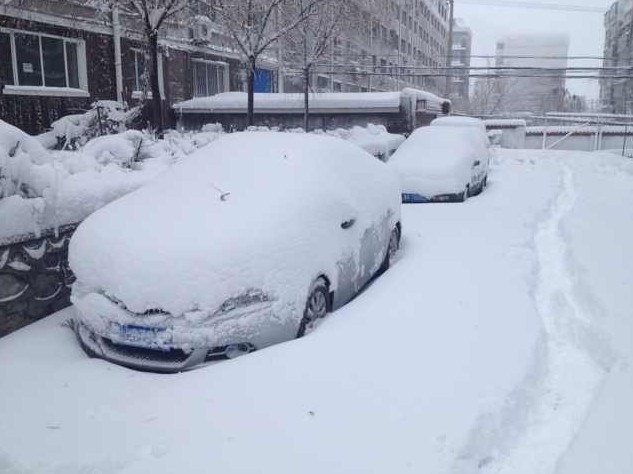 黑龙江鹤岗市是迎来了50年一遇的暴雪,市区内多处树木也是被压折,车行