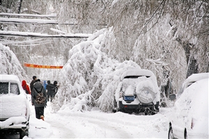 持续暴雪严重影响东北交通(组图)