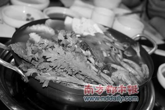 一哥澳门豆捞_泰国一哥_香港一哥_欧美一哥 - 7262图片 ...