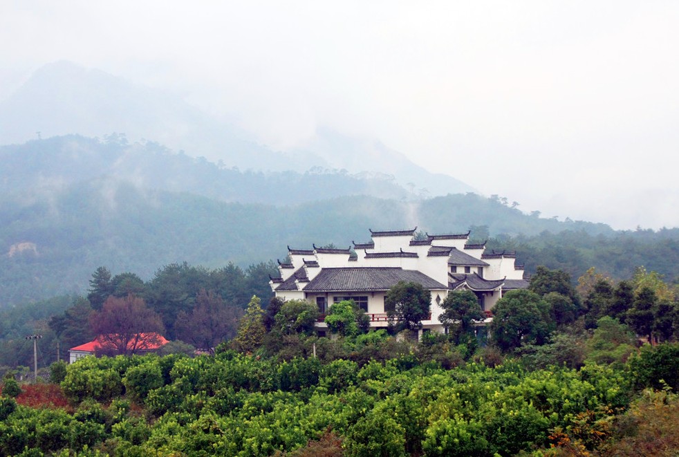 "寻找桃花源 我的穿越梦"旅游达人九江采风活动圆满结束(组图)