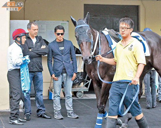 郭富城冒雨挺爱驹试闸 好友张智霖合伙购新马