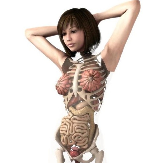 超唯美的日本美女人体解剖(组图)-搜狐滚动