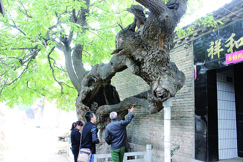 杨家桥乡人口_澧县杨家坊乡中学照片