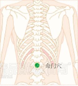 命门穴