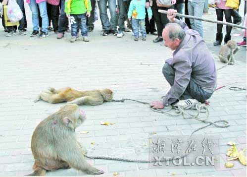 耍猴人当街暴打猴子,引起围观市民的反感(竖戈摄)